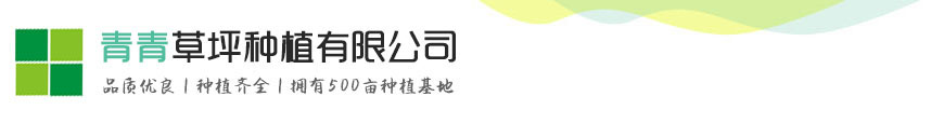太阳集团游戏网址